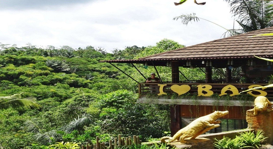 Agrowisata_Kopi_Luwak