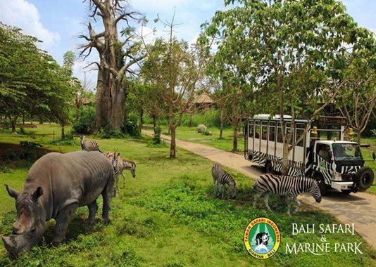 Tour_Bali_Safari