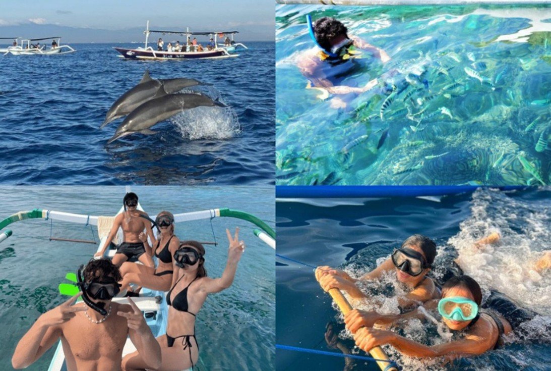 Atraksi_Lumba-Lumba_Lovina