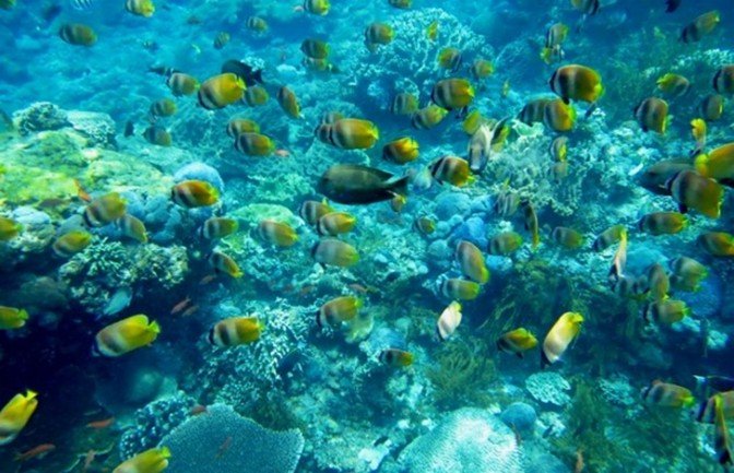 Snorkeling_Wall_Point